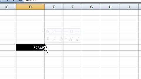 Use the Mini Toolbar in Excel 2007