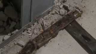 Clouds of mold spores