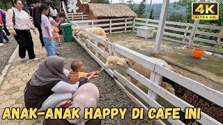 THE MINI ZOO MAKES KIDS HAPPY‼️HERE IT IS... WOOLY CAFE