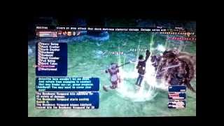 Final Fantasy XI FFXI WHM99BLM49 WHM White Mage Wotg Campaign Grauberg Adelheid 11.04.15