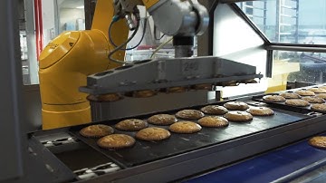 Multi-inzetbare grijper is een flexibele alleskunner van Rolan Robotics & Corda Banket