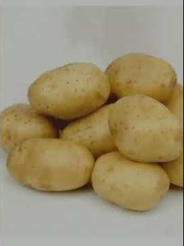 PETUA KURANGKAN MASIN DALAM MASAKAN