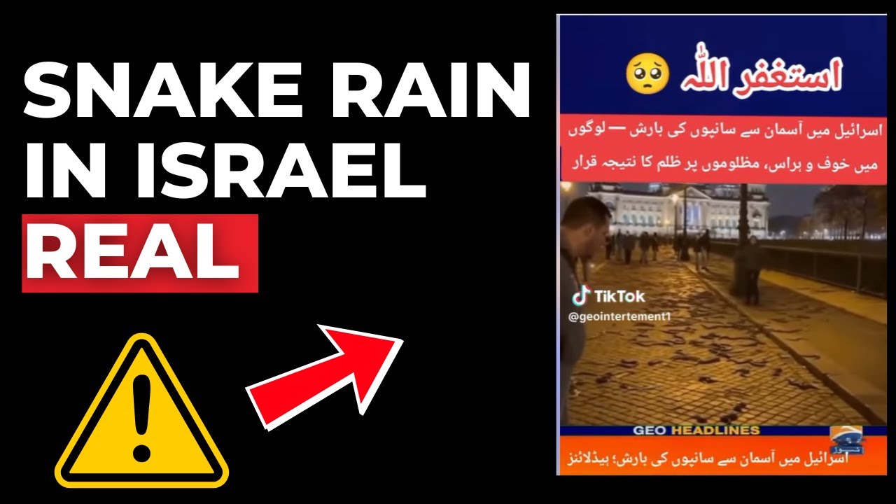 Змеиный дождь в Израиле — фейковая новость или реальное событие?
