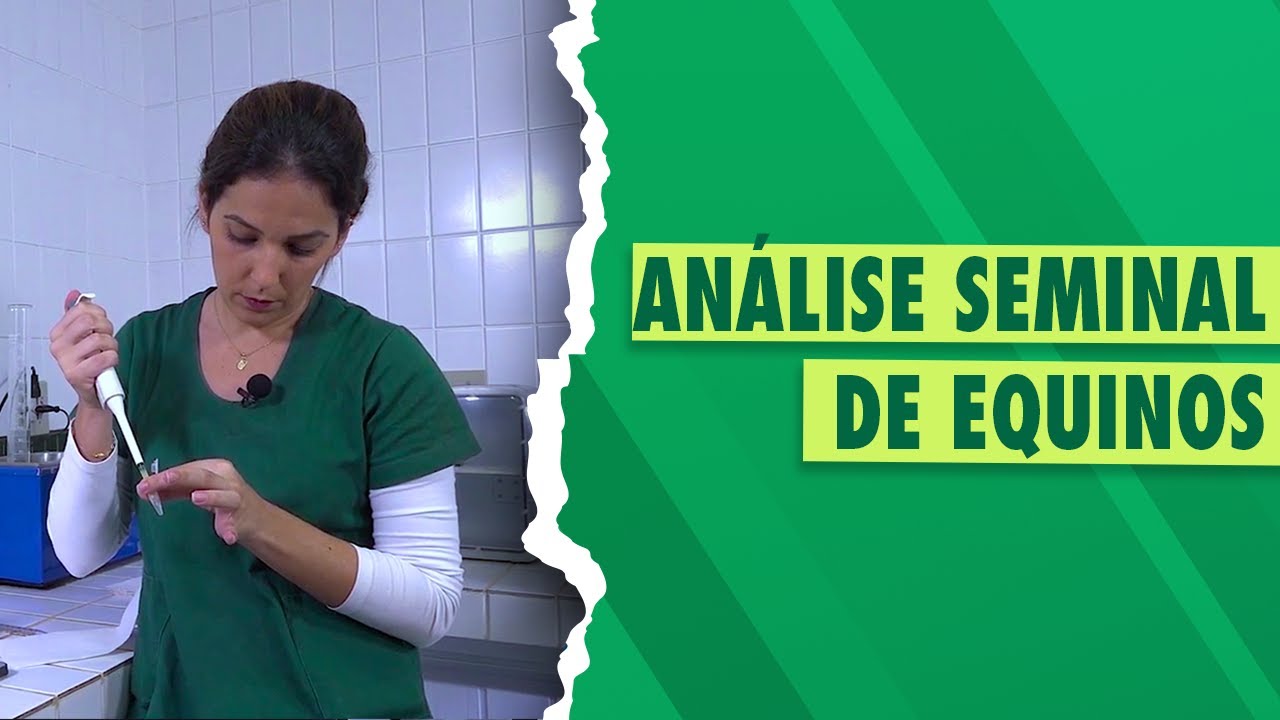 Análise seminal de equinos