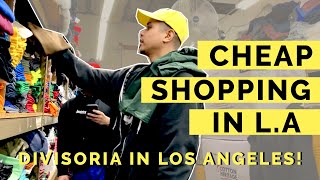 CHEAP SHOPPING IN LOS ANGELES | SANTEE ALLEY | Erika Red