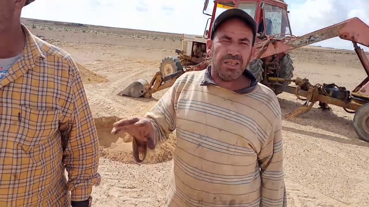 كيفية حفر الجورة لزراعة الزيتون ارض المغرة