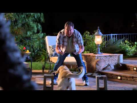 The Dog Who Saved Summer Trailer - Coming Soon