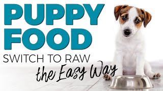 Raw Food Diet for Pups  Easy Transition Tips!