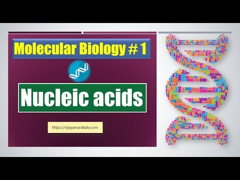 Nucleic acids structure and functions:  Biochemistry