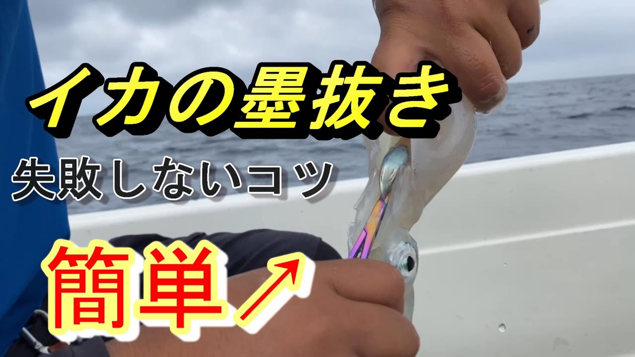 イカの墨抜き【解説】意外と簡単！！