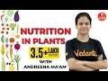 Nutrition in plants | Mode of Nutrition | Autotrophic & Heterotrophic | Class 7 Science |  Vedantu