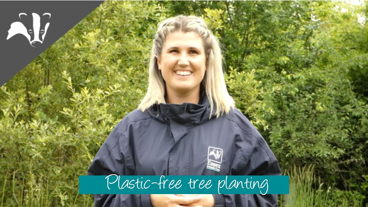 Plasticfree tree planting YouTube