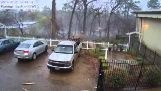 Famous LiveLeak - Tree blown up by lightning Wealth