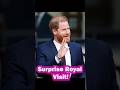Prince Harry’s Unexpected Palace Return #PrinceHarry #RoyalFamily #RoyalVisit #RoyalNews