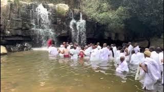 Insebenzo yempophoma -Dr Mzinto Ngema Mavula Kuvaliwe