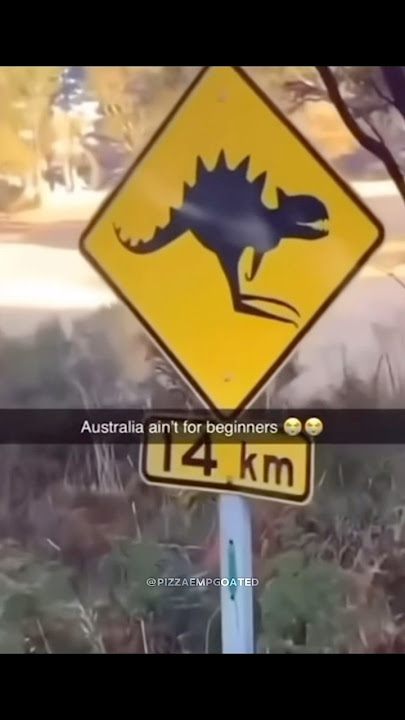 Linggang guli guli guli gwatcha 🗣️🗣️🔥🔥 #shorts #meme #memes