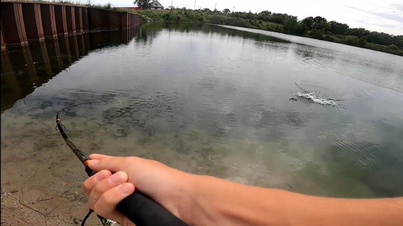 Record Day Of Pond Bass Fishing! YouTube