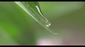 Ngũ cốc ăn kiêng uống liền