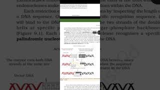 CHAPTER  9 BIOTECHNOLOGY : PRINCIPLES AND PROCESSES