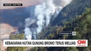 Kebakaran Hutan Gunung Bromo Terus Meluas, 520 Hektare Terbakar