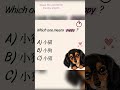 Puppy in Chinese? 🐶 You can’t get this wrong 😅 #learnchinese #mandarin