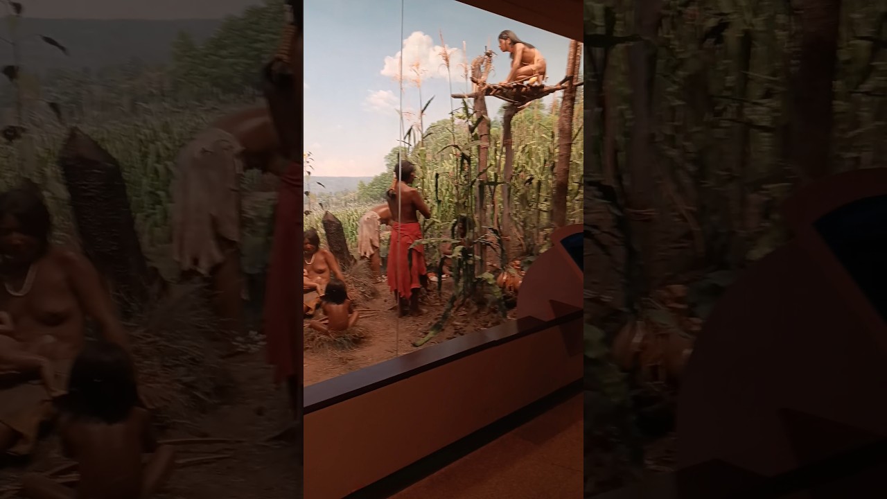 Mohawk Iroquoi Village 