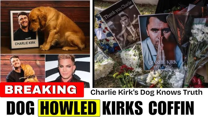 Charlie Kirk's Dog Breaks Silence at His Funeral… The Truth Stuns Everyone  - YouTube