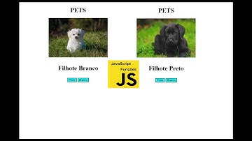 Mini projetos javascript (Iniciantes) - 01 Troca Foto
