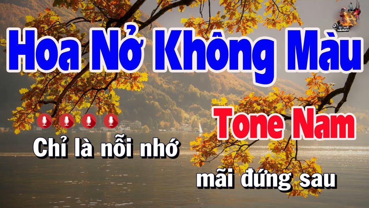 Hoa no khong mau Tin Le music - YouTube