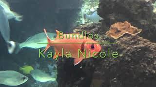Download Lagu Bundles - Kayla Nicole *edit audio* MP3