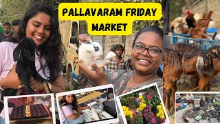 Pallavaram friday market vlog⁉|#pallavaramfridaymarket #pallavaram #lavanyadairies
