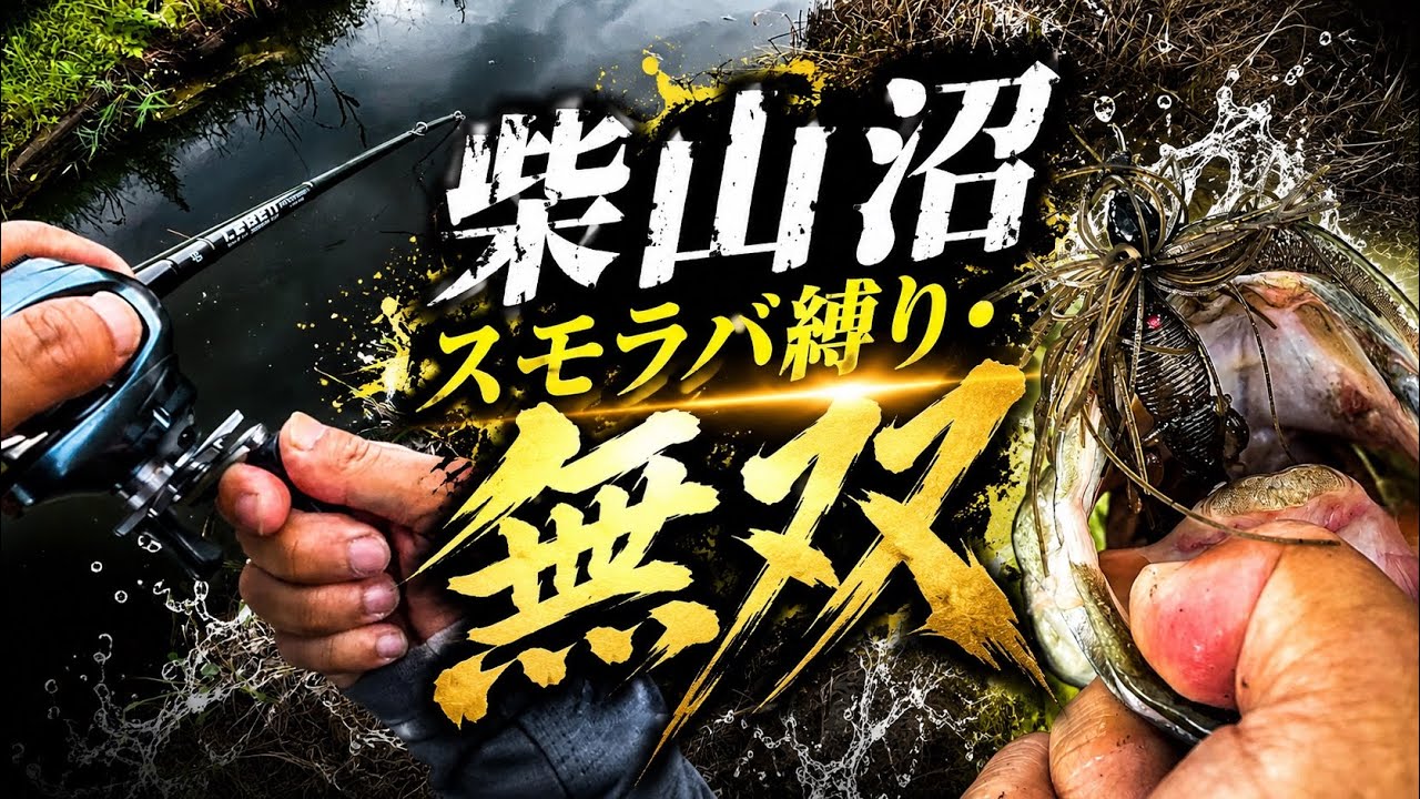 【柴山沼】スモラバ縛りで釣りしてみた結果【バス釣り】