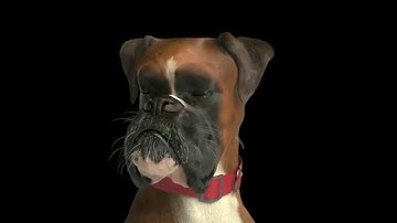 Kleber Clip by In Efecto with Maxwell Render