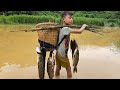 The little boy catch fish with Traditional technique | Primitive Fishing Techniques|| Survival Video