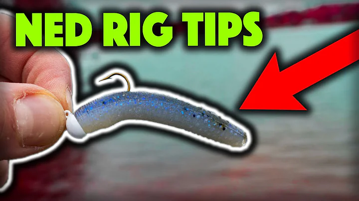 Can't Catch Fish On The NED RIG? Try These Tips!