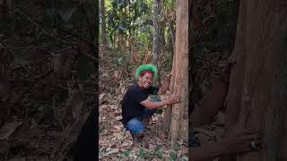 masteran burung viral lucu bikin ngakak hiburan warga+62 funny videos #funny #shorts #viral