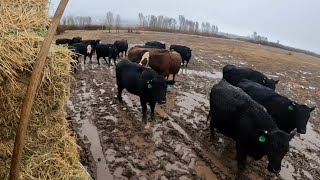 This Mud is Becoming a Problem…