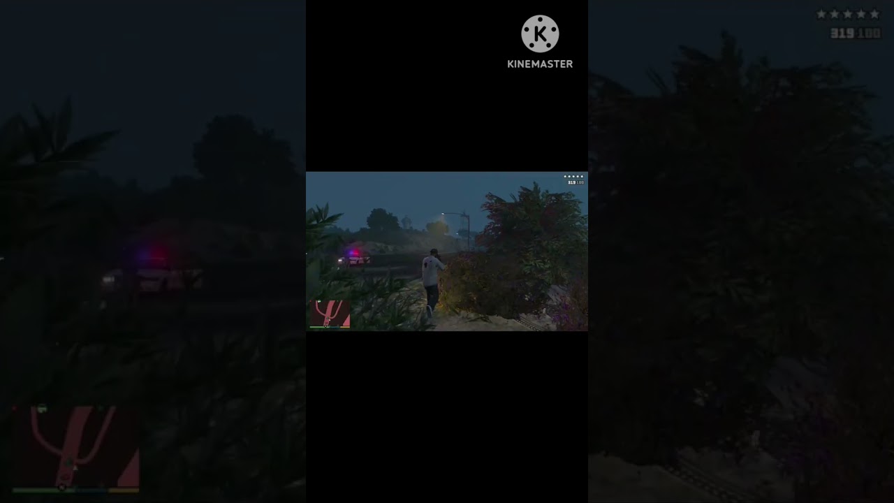 Attack on police in gta 5