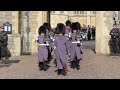 Changing the Guard in Windsor (wet mount, 12/3/22)