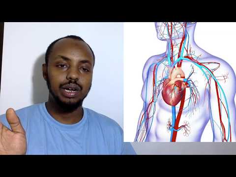 W aa cashar Biology dugsi sare oo si casri ah udiyaarsan ( CIRCULATORY SYSTEM) Habdhiska Dhiiga