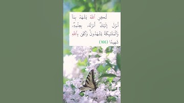 سورة النساء - الآية 166 #الله #allah #alquran #ayat #qran #آية #القرآن #قرآن #aya #explore