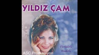 Yıldız Çam -Tanrıdan Diledim Resimi