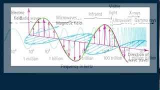Hewitt-Drew-it! PHYSICS 103. Speed of Light