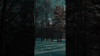 Ambient Nature Sounds &amp; Chill Beats | Study • Sleep • Focus #lofi #music #rain
