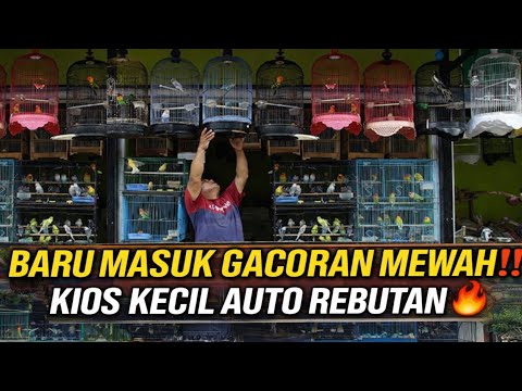 BENER² GILA! STOK BARU MASUK DI KIOS INI, ISINYA AUTO GACOR SEMUA! PANTES BUAT REBUTAN
