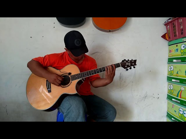Lily - Alan Walker (fingerstyle cover) class=