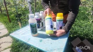 Stropirea la scuturare petale la sâmburoase și semințoase🫐🍒🍑🍏🍎🍐✅