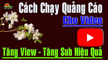 Cách chạy Quảng cáo Tăng View & Sub hiệu quả cho video và Kênh Youtube