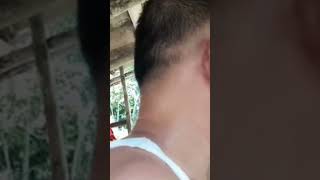 Ikan semah aik selabung #aliimrongitartunggal #aliimronbatangharisembilan