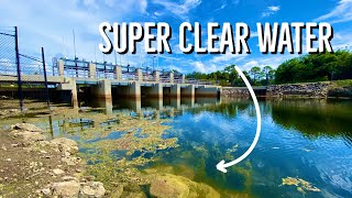 Fishing for Spillway MONSTERS in SUPER Clear Water! 😳